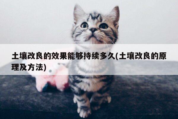 土壤改良的效果能够持续多久(土壤改良的原理及方法)