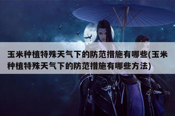 玉米种植特殊天气下的防范措施有哪些(玉米种植特殊天气下的防范措施有哪些方法)