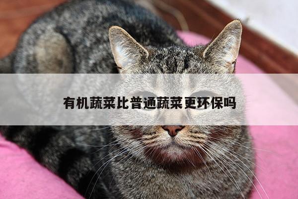 有机蔬菜比普通蔬菜更环保吗